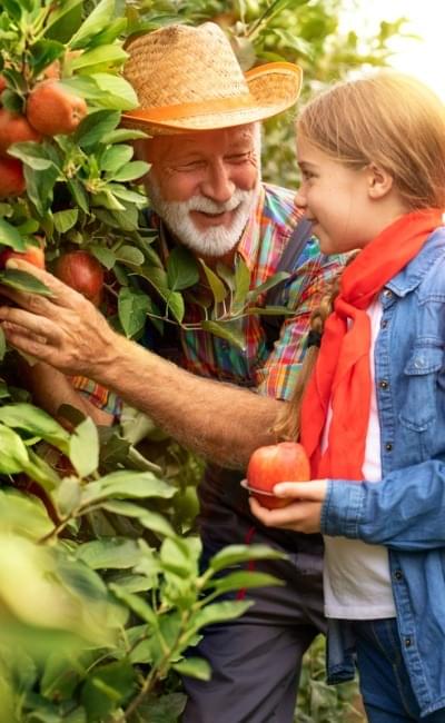 farmer and granddaughter picking apples