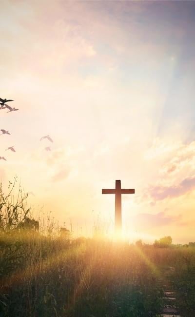 the cross in a field